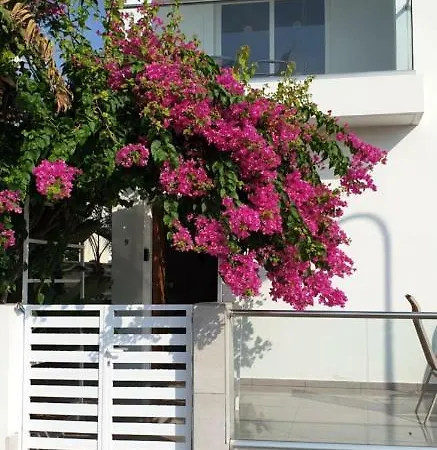 Aurelia2 Villa