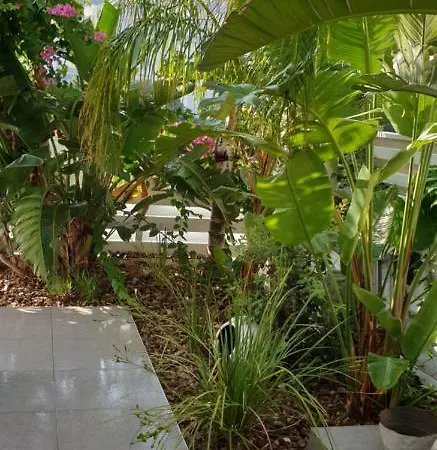 Villa Aurelia2 Paralimni